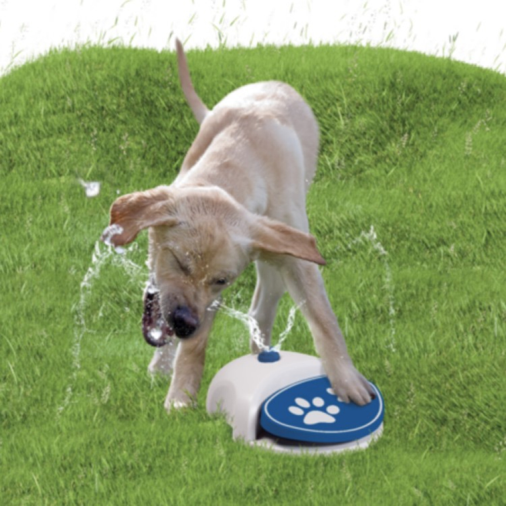 Dog Water Fountain in the group Leisure / Pets / Dog stuff at SmartaSaker.se (13269)
