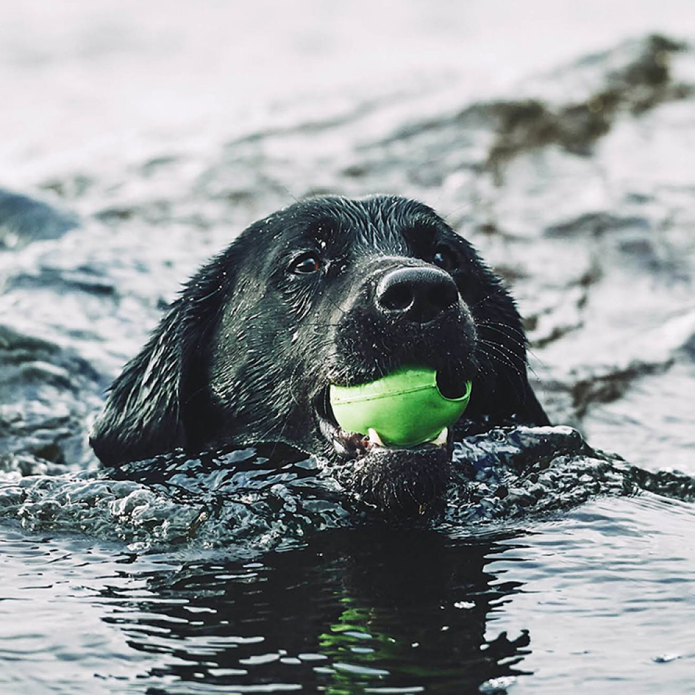 Dog Activity Ball in the group Leisure / Pets / Dog stuff at SmartaSaker.se (13280)