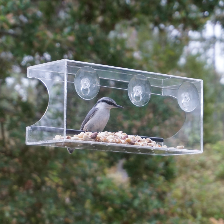 Window Bird Feeders Clear Glass Window Viewing Bird Feed Hotel