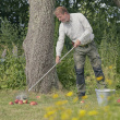 Collector for Fallen Fruit Collector for Fallen Fruit