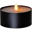 Battery-Powered Garden Candle Battery-Powered Garden Candle