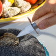 Oyster knife Oyster knife