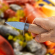 Oyster knife Oyster knife