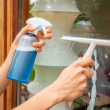 Skosh cleaning kit Skosh cleaning kit