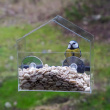 Small window bird feeder Small window bird feeder