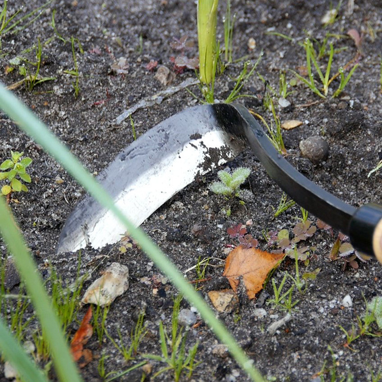 Carbon steel razor hoe in the group House & Home / Garden / Cultivation at SmartaSaker.se (13418)