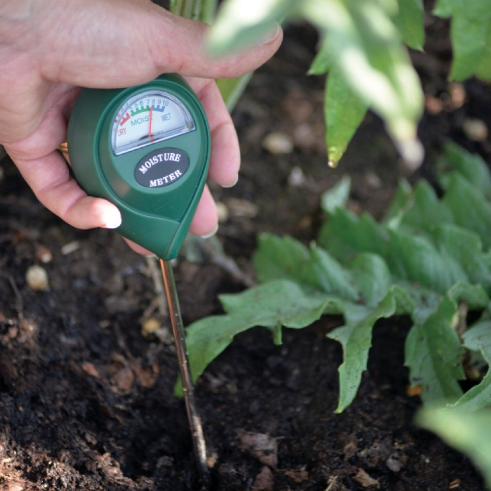 How to Use a Soil Moisture Meter