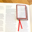 Bookmark with magnifying glass