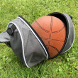 Carrying bag for balls
