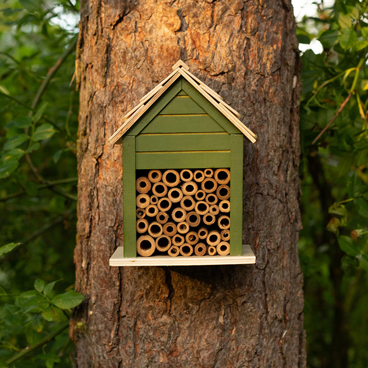 Nests and hotels