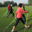 Nordic walking poles with suspension