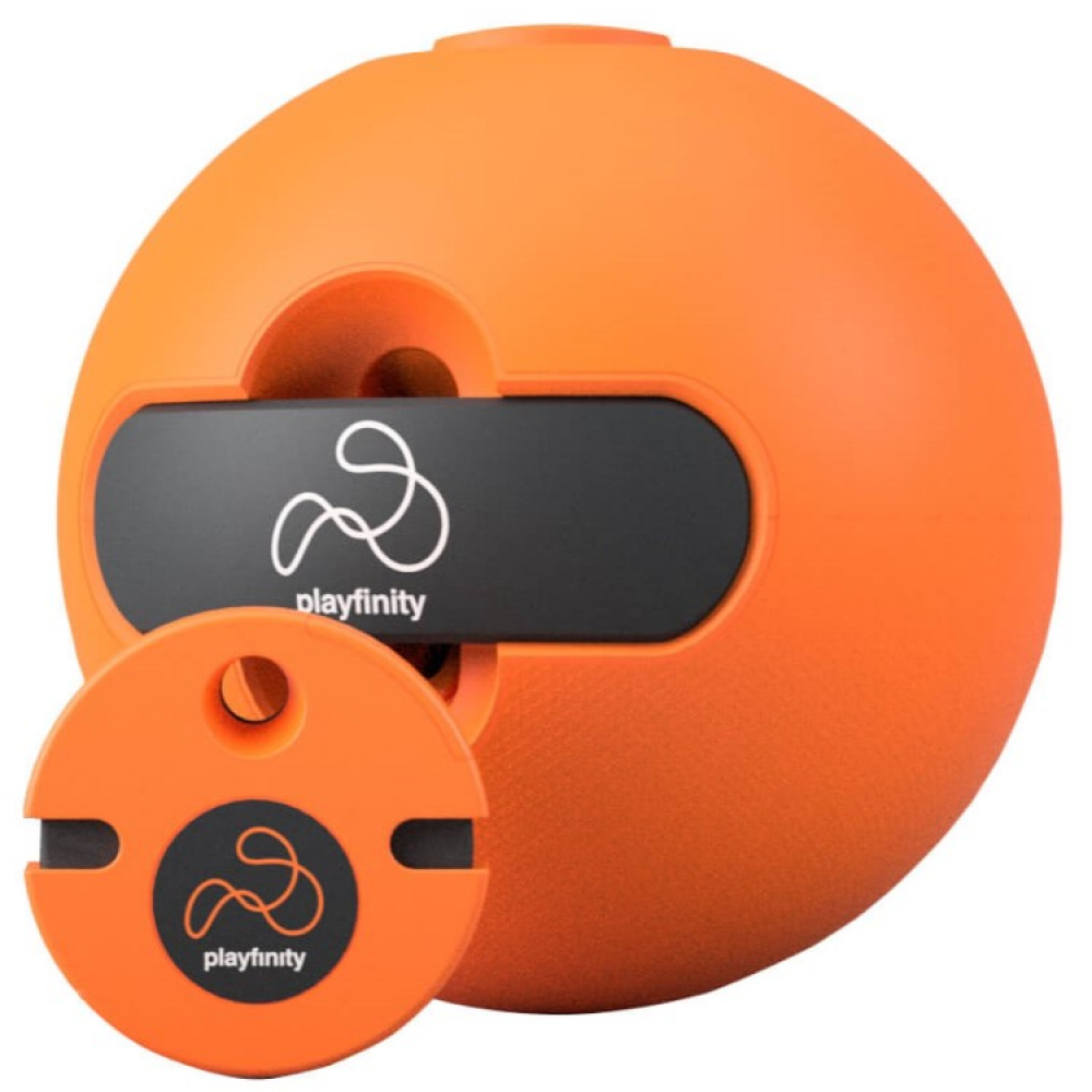 Activity game with a ball, Playfinity in the group Leisure / Games at SmartaSaker.se (13506)