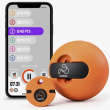 Activity game with a ball, Playfinity