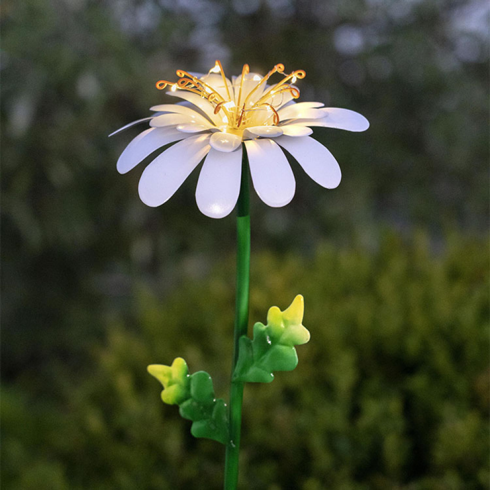 Solar cell flower on a stick, Daisy in the group Lighting / Outdoor lighting / Solar Cell Lighting at SmartaSaker.se (13525)