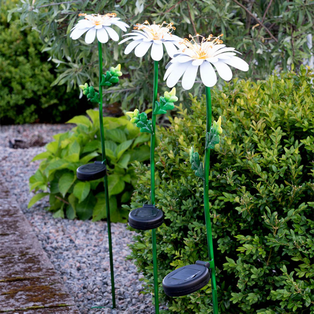 Solar cell flower on a stick, Daisy in the group Lighting / Outdoor lighting / Solar Cell Lighting at SmartaSaker.se (13525)