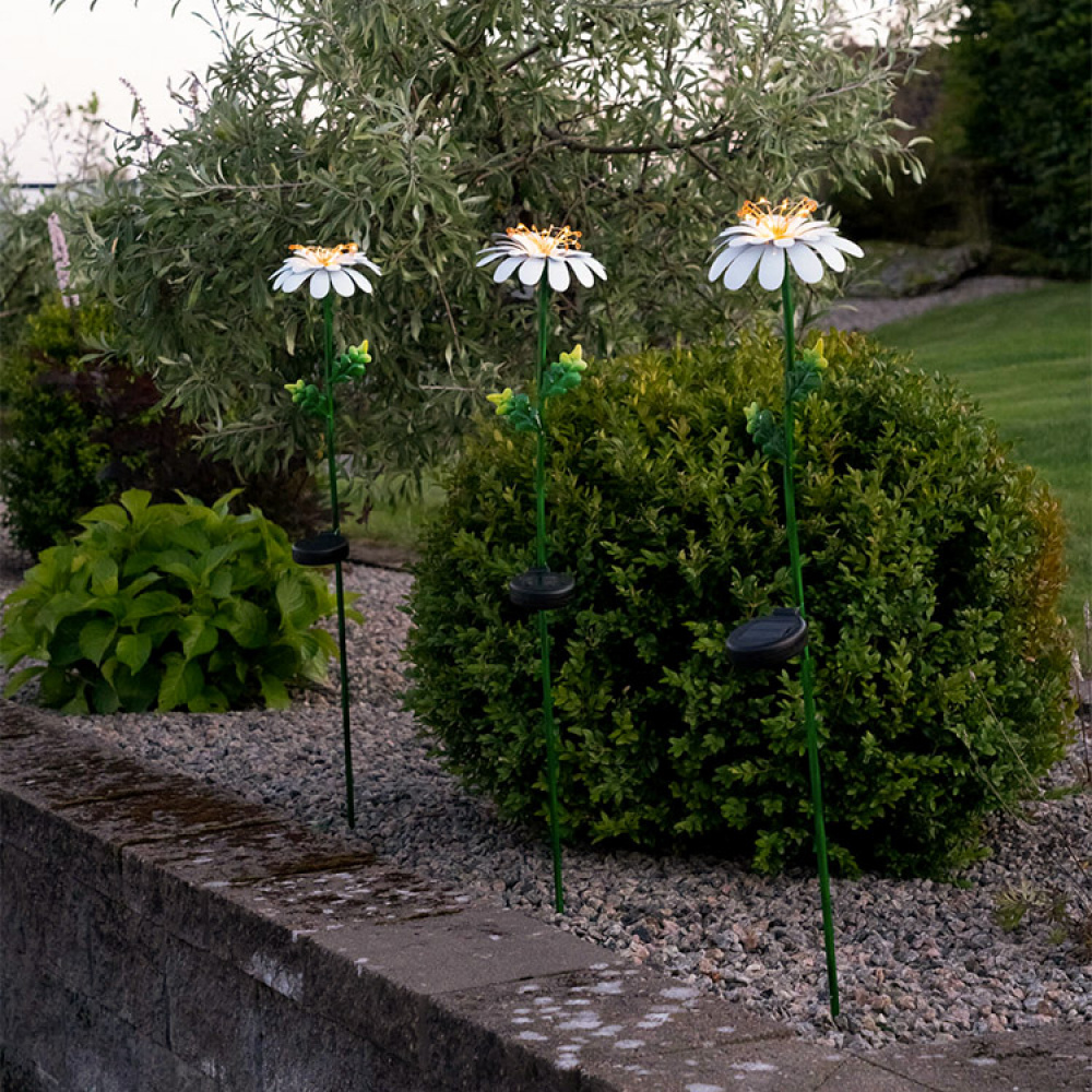 Solar cell flower on a stick, Daisy in the group Lighting / Outdoor lighting / Solar Cell Lighting at SmartaSaker.se (13525)