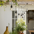 String lights with hanging lightbulbs