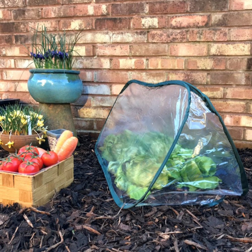 Farming tunnel in plastic in the group House & Home / Garden / Cultivation at SmartaSaker.se (13568)