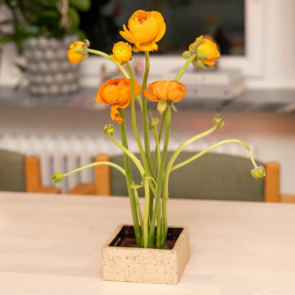 Flower fakir in the group House & Home / Interior at SmartaSaker.se (13574)