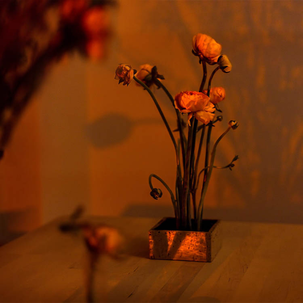 Flower fakir in the group House & Home / Interior at SmartaSaker.se (13574)
