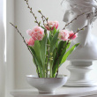 Flower fakir Flower fakir
