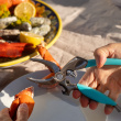 Crab claw cutter