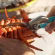 Crab claw cutter