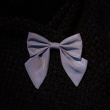 Reflective bow