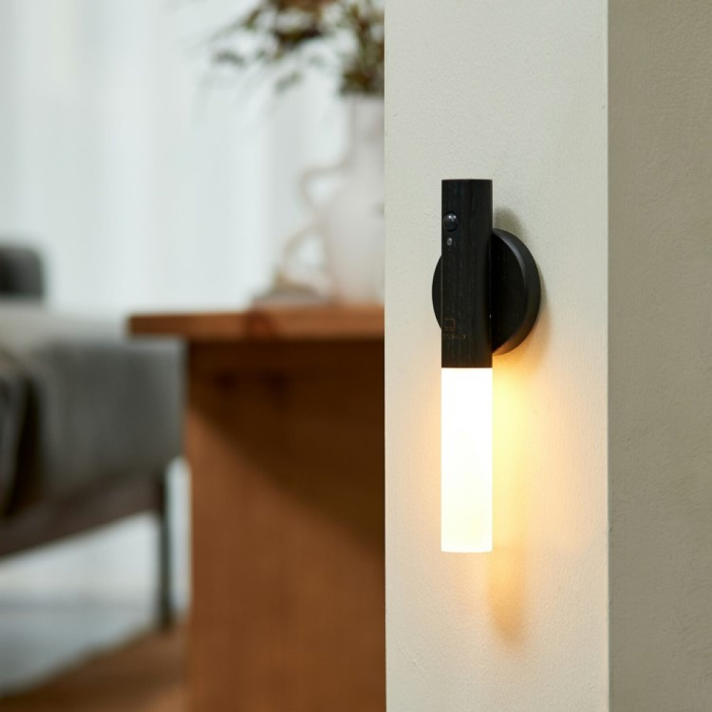 Detachable lamp with motion sensor in the group Lighting / Indoor lighting / Night lights at SmartaSaker.se (13619)