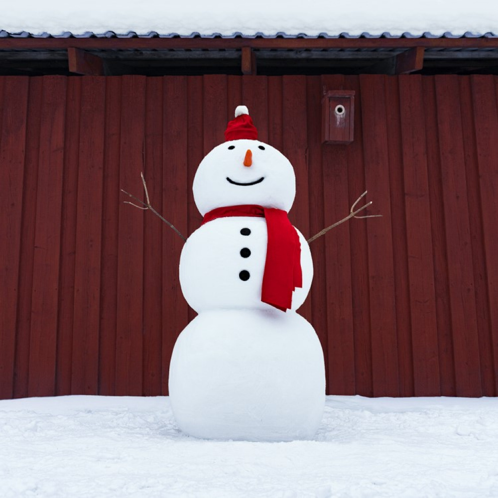 Snow sculpture sack in the group Leisure / Winter gadgets at SmartaSaker.se (13647)