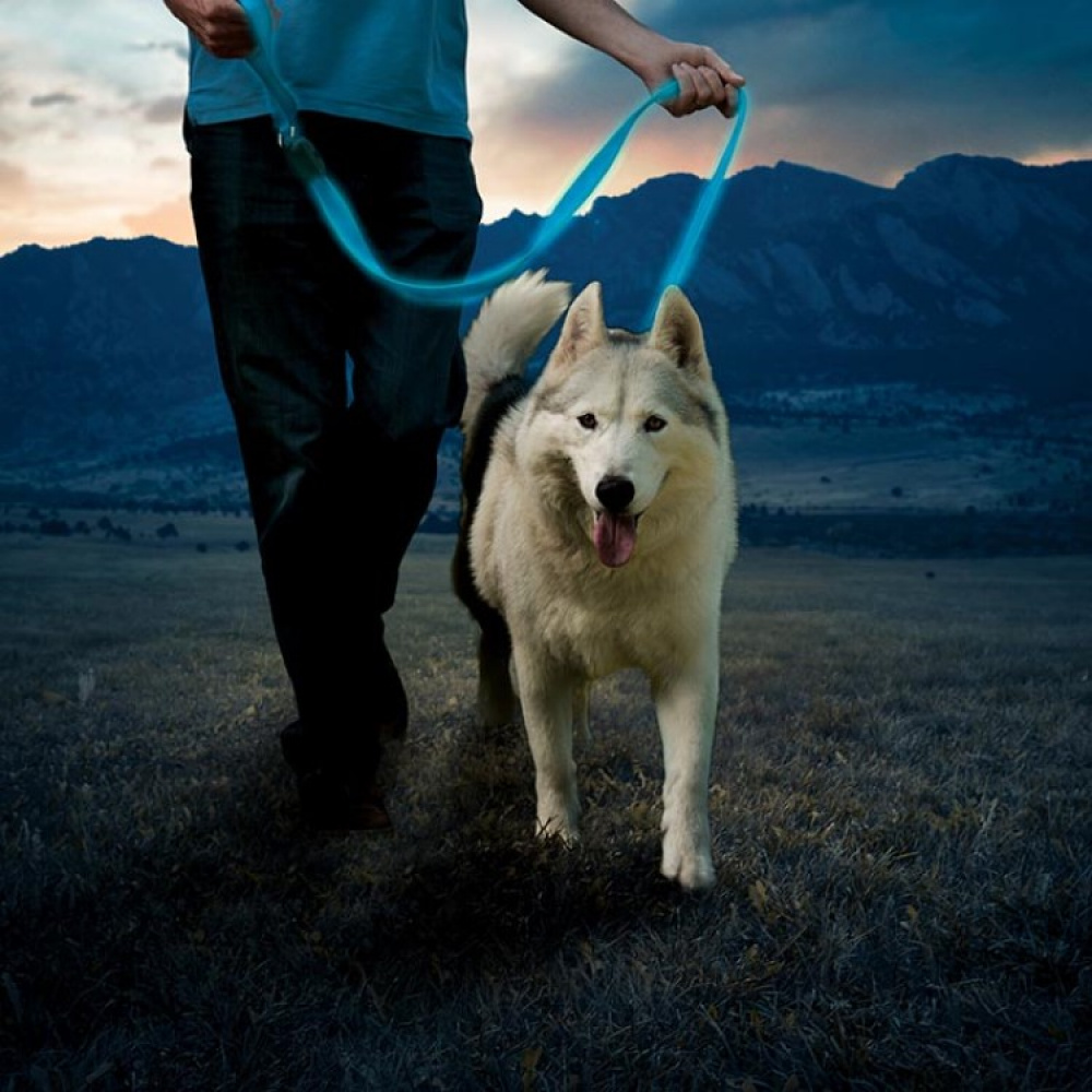 Chargeable leash in the group Leisure / Pets / Dog stuff at SmartaSaker.se (13680)