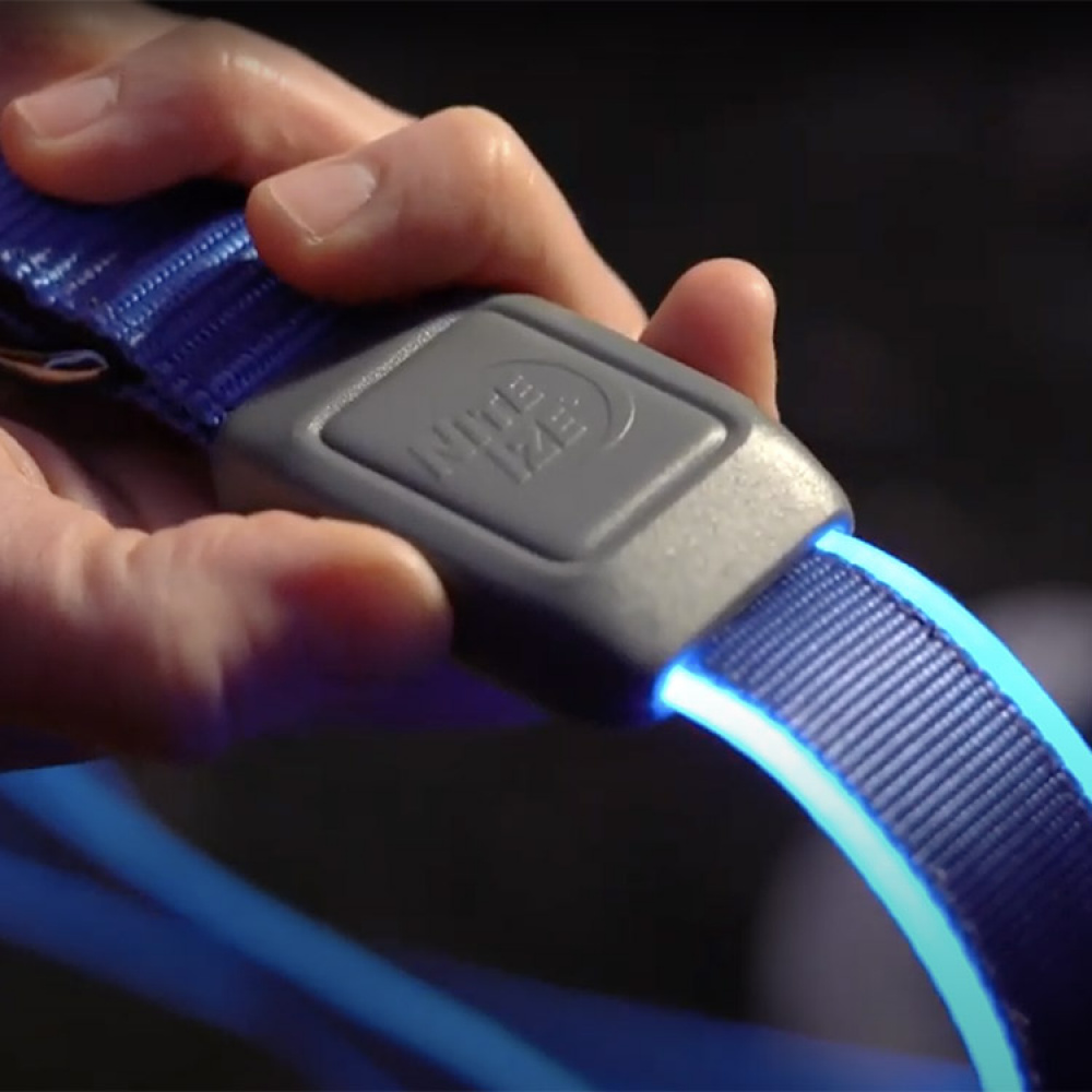 Chargeable leash in the group Leisure / Pets / Dog stuff at SmartaSaker.se (13680)