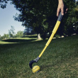 Collapsible ball thrower
