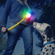 Collapsible ball thrower with LED ball Collapsible ball thrower with LED ball