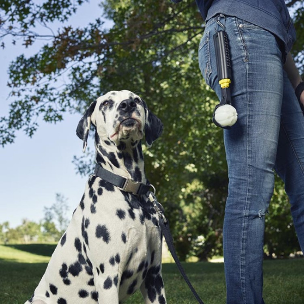 Collapsible ball thrower with LED ball in the group Leisure / Pets / Dog stuff at SmartaSaker.se (13682)