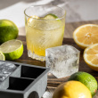 Ice cube tray with lid for large ice cubes Ice cube tray with lid for large ice cubes