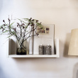 DSHELF - a smart and versatile shelf DSHELF - a smart and versatile shelf