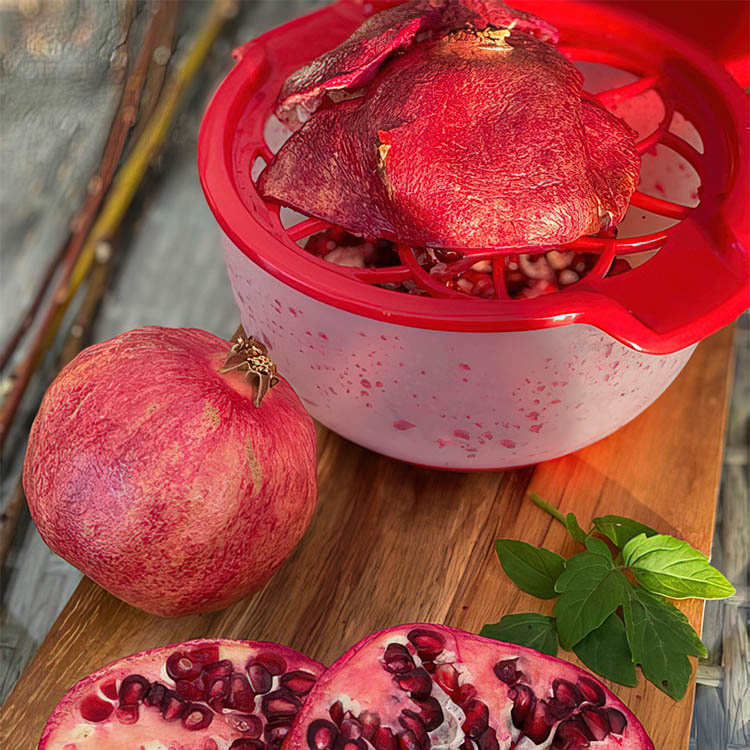 Pomegranate Peeling and Deseeding Machine