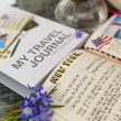 My travel journal