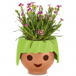 Self-watering plant pot, Face
