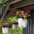 Self-watering hanging plant pot