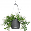 Self-watering hanging plant pot