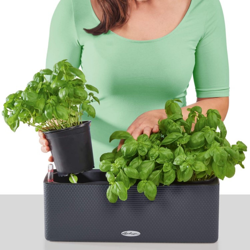 Self-watering balcony box in the group House & Home / Garden / Irrigation at SmartaSaker.se (13722)
