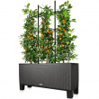Trellis for planter box Trellis for planter box