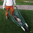 Collapsible wheelbarrow
