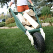 Collapsible wheelbarrow