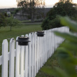 Solar-powered fence lighting