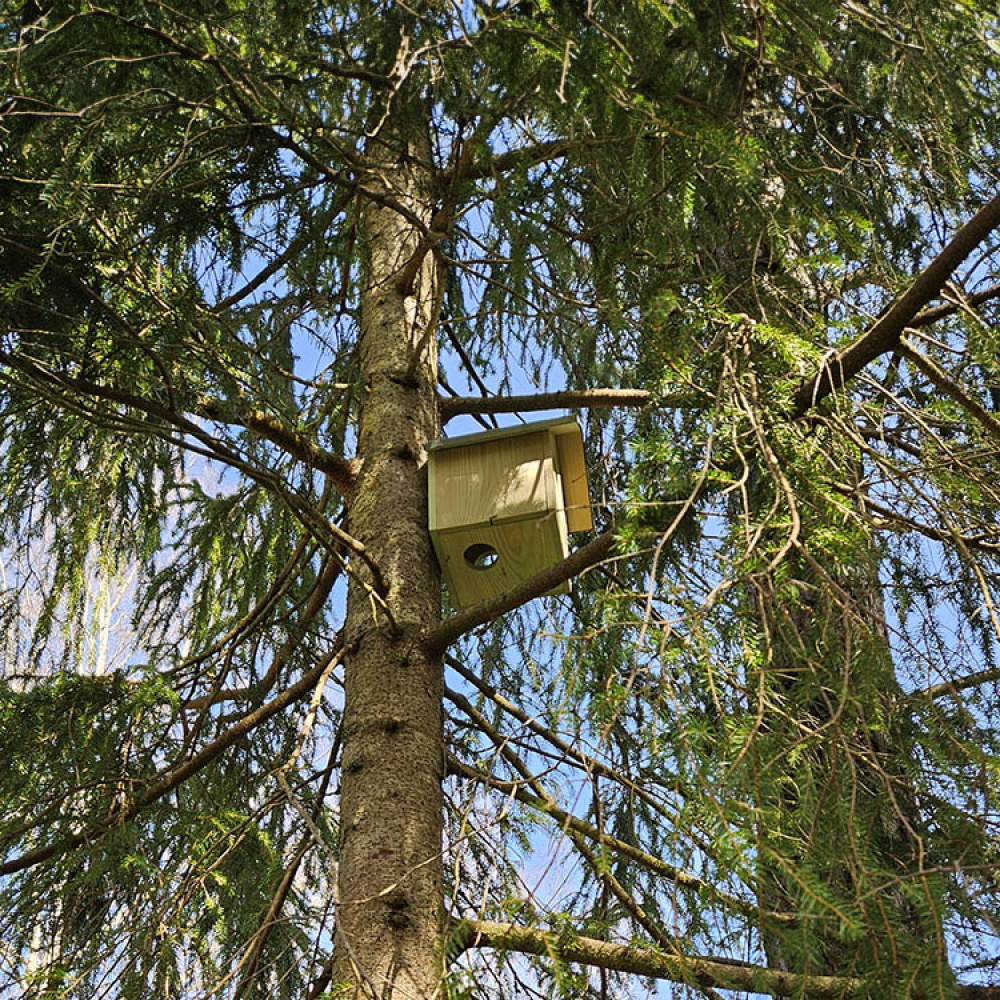 Squirrel House in the group House & Home / Garden / Nests and hotels at SmartaSaker.se (13820)