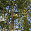 Squirrel House Squirrel House
