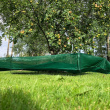 Harvesting nets for fruit trees